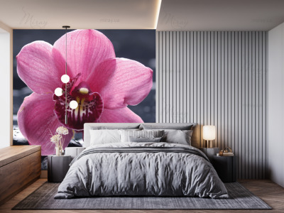 p-07-043-лиловая орхидея на камнях-z p-07-043-лиловая орхидея на камнях-z