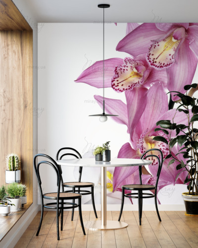 p-07-044-орхидеи-z p-07-044-орхидеи-z