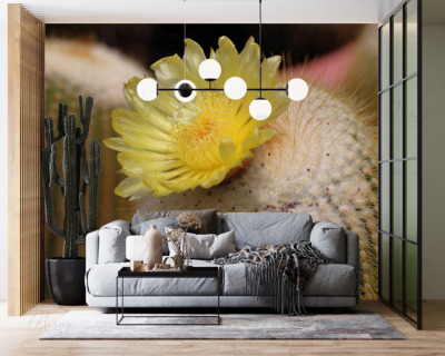 p-07-047-цвеіущій кактус-z p-07-047-цвеіущій кактус-z