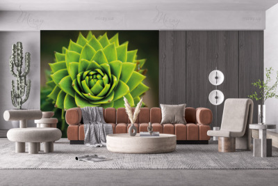p-07-050-green cactus-z p-07-050-green cactus-z