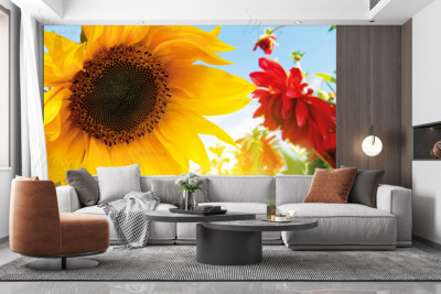 p-07-054-подсолнух (2)-z p-07-054-подсолнух (2)-z