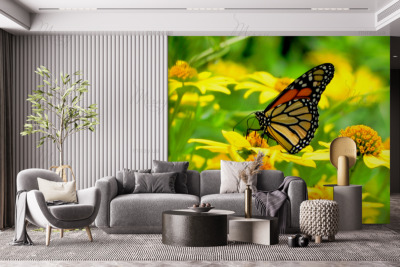 p-07-055-жовті ромашки з метеликом-z p-07-055-жовті ромашки з метеликом-z