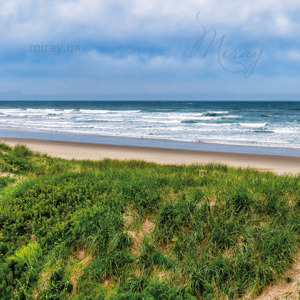 p-08-005-берег океана панорама p-08-005-берег океана панорама