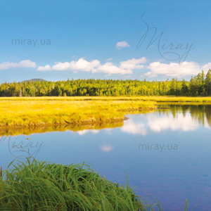 p-08-012-вид на водойму панорама (14) p-08-012-вид на водойму панорама (14)