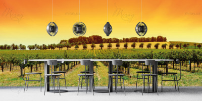 p-08-014-vineyards panorama-z p-08-014-vineyards panorama-z