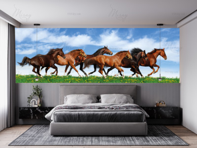 p-08-024-wild horses panorama-z p-08-024-wild horses panorama-z