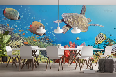 p-08-035-underwater world panorama-z p-08-035-underwater world panorama-z