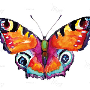 p-12-012-butterfly watercolor p-12-012-butterfly watercolor