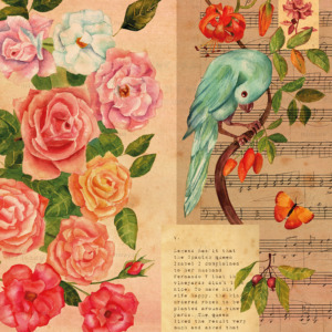 p-14-004-Vintage collage with watercolor drawings p-14-004-Vintage collage with watercolor drawings