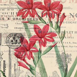 p-14-013-Collage with flowers p-14-013-Collage with flowers