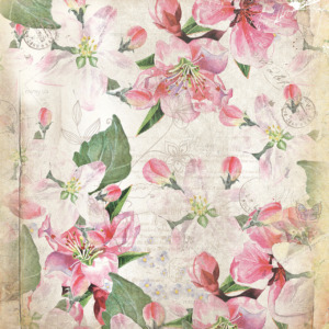 p-14-020-Цветы нарисованные акварелью1 p-14-020-Цветы нарисованные акварелью1