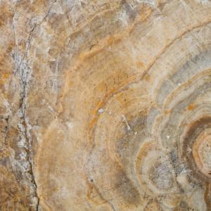 d-16-020-110617922 d-16-020-110617922