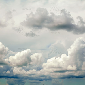 d-17-014-683831653 d-17-014-683831653