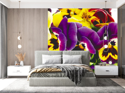 p-07-057-Анютины глазки-z p-07-057-Анютины глазки-z