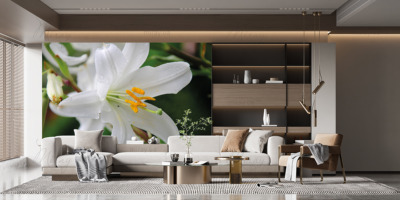 p-07-059-белая лилия-z p-07-059-белая лилия-z