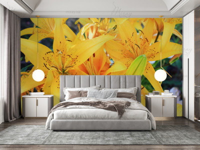 p-07-060-лилии-z p-07-060-лилии-z