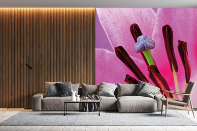 p-07-063-розовые лепестки лилии-z p-07-063-розовые лепестки лилии-z