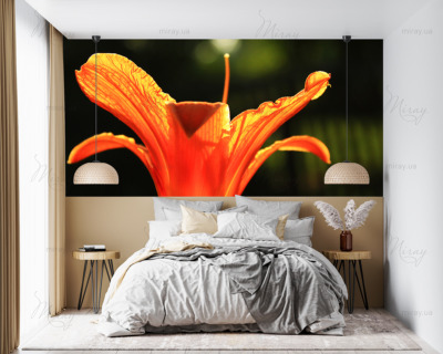 p-07-065-Лилия-z p-07-065-Лилия-z