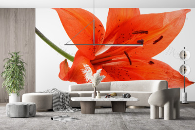 p-07-068-Яркая лилия-z p-07-068-Яркая лилия-z