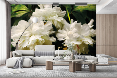 p-07-071-белые пионы-z p-07-071-белые пионы-z