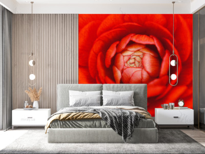 p-07-077-красный пион-z p-07-077-красный пион-z