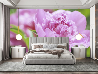 p-07-078-лиловый пион-z p-07-078-лиловый пион-z