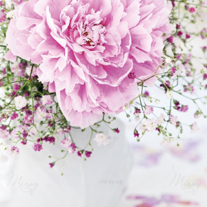 p-07-080-півонія у вазі p-07-080-півонія у вазі