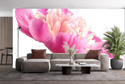 p-07-081-пион с отрожением-z p-07-081-пион с отрожением-z