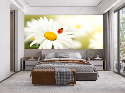 p-07-083-білі ромашки з сонечком-z p-07-083-білі ромашки з сонечком-z