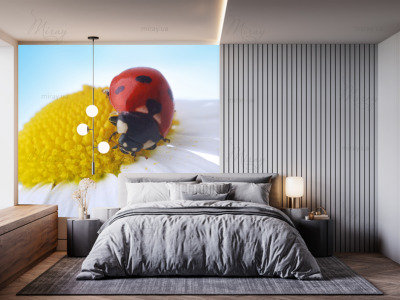 p-07-085-Божья коровка на ромашке (1)-z p-07-085-Божья коровка на ромашке (1)-z