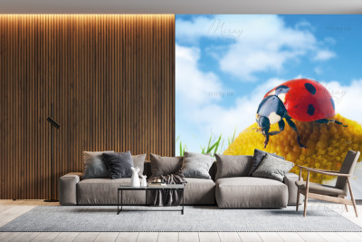 p-07-086-Ladybug on a daisy (3) -z p-07-086-Ladybug on a daisy (3) -z