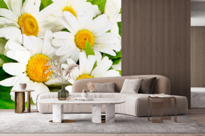 p-07-089-букет ромашек-z p-07-089-букет ромашек-z