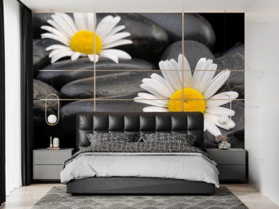 p-07-094-daisies on stones-z p-07-094-daisies on stones-z