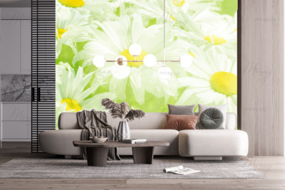 p-07-095-ромашки в солнечном свете-z p-07-095-ромашки в солнечном свете-z