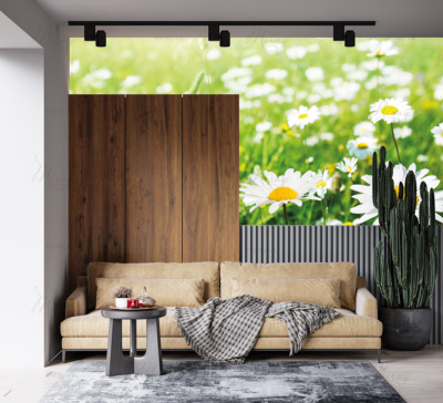 p-07-096-ромашковое поле (1)-z p-07-096-ромашковое поле (1)-z