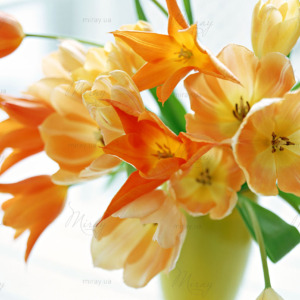 p-07-097-оранжевые тюльпаны в вазе p-07-097-оранжевые тюльпаны в вазе