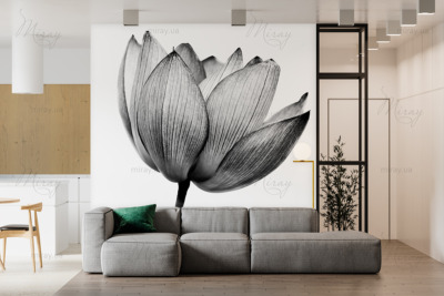 p-07-106-черно белый тюльпан-z p-07-106-черно белый тюльпан-z