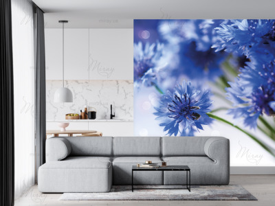 p-07-107-cornflowers (1) -z p-07-107-cornflowers (1) -z