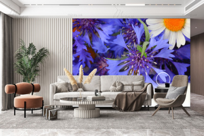 p-07-111-васильки и ромашка-z p-07-111-васильки и ромашка-z