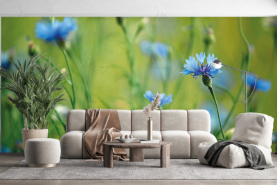 p-07-113-spring flowers (4) -z p-07-113-spring flowers (4) -z