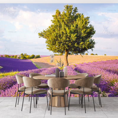 p-07-119-лавандовое поле (3)-z p-07-119-лавандовое поле (3)-z