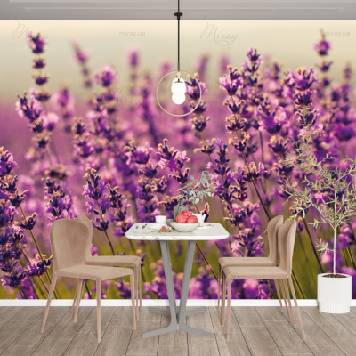 p-07-121-лаванда на лузі-z p-07-121-лаванда на лузі-z