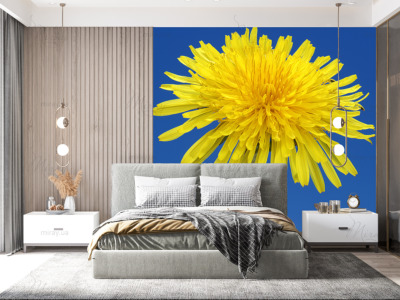 p-07-125-желтый одуванчик-z p-07-125-желтый одуванчик-z