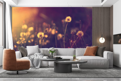 p-07-128-delicate dandelions-z p-07-128-delicate dandelions-z