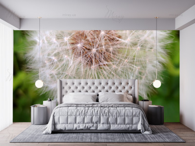 p-07-129-dandelion in greenery-z p-07-129-dandelion in greenery-z