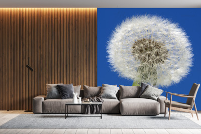 p-07-131-одуванчик на голубом фоне-z p-07-131-одуванчик на голубом фоне-z