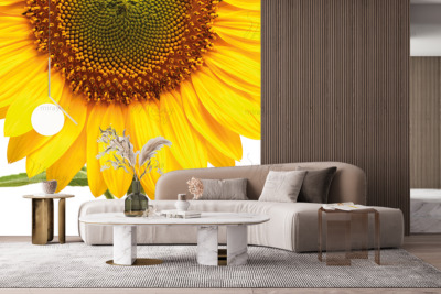 p-07-138-подсолнух (1)-z p-07-138-подсолнух (1)-z