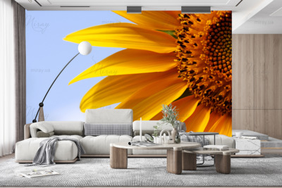 p-07-139-sunflower close-up-z p-07-139-sunflower close-up-z