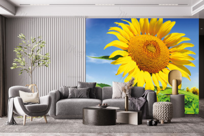 p-07-140-подсолнух на фоне неба-z p-07-140-подсолнух на фоне неба-z