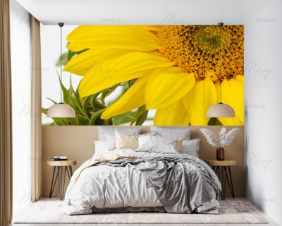 p-07-142-подсолнух1-z p-07-142-подсолнух1-z